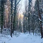 Le Renard Qui Passe Дом отдыха *